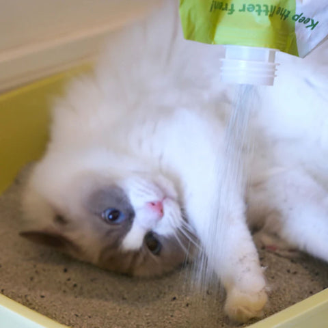 FreeCat Premium Clumping Cat Litter