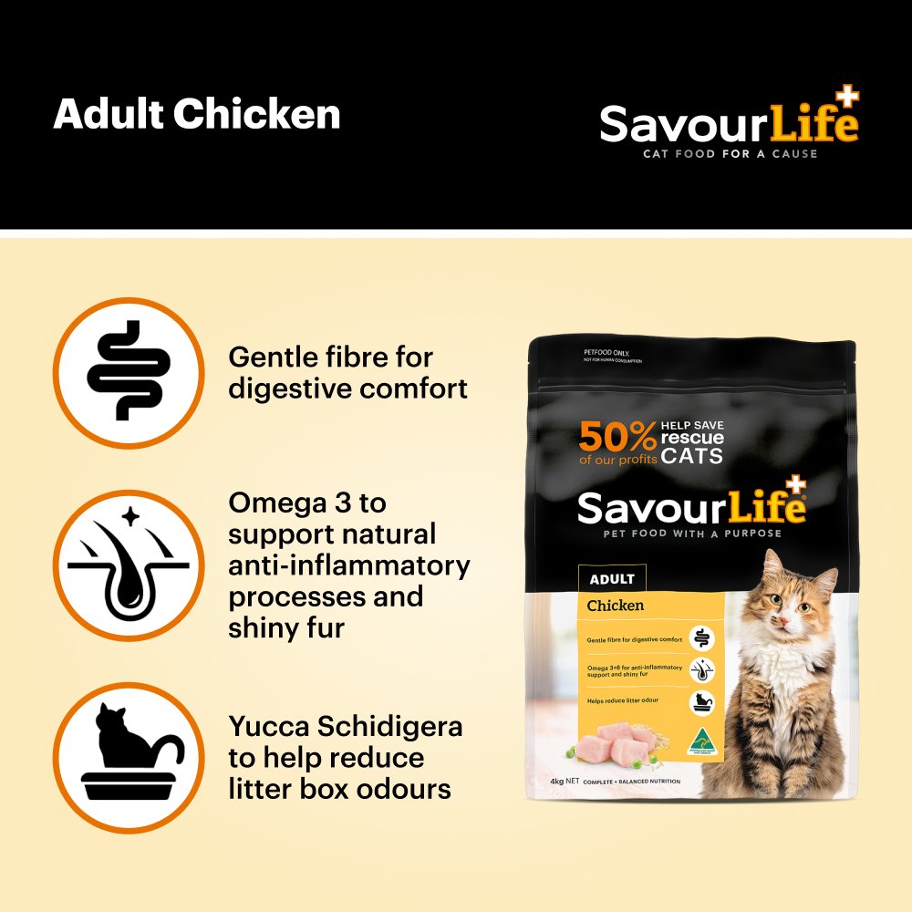 Chicken Adult Dry Cat Food