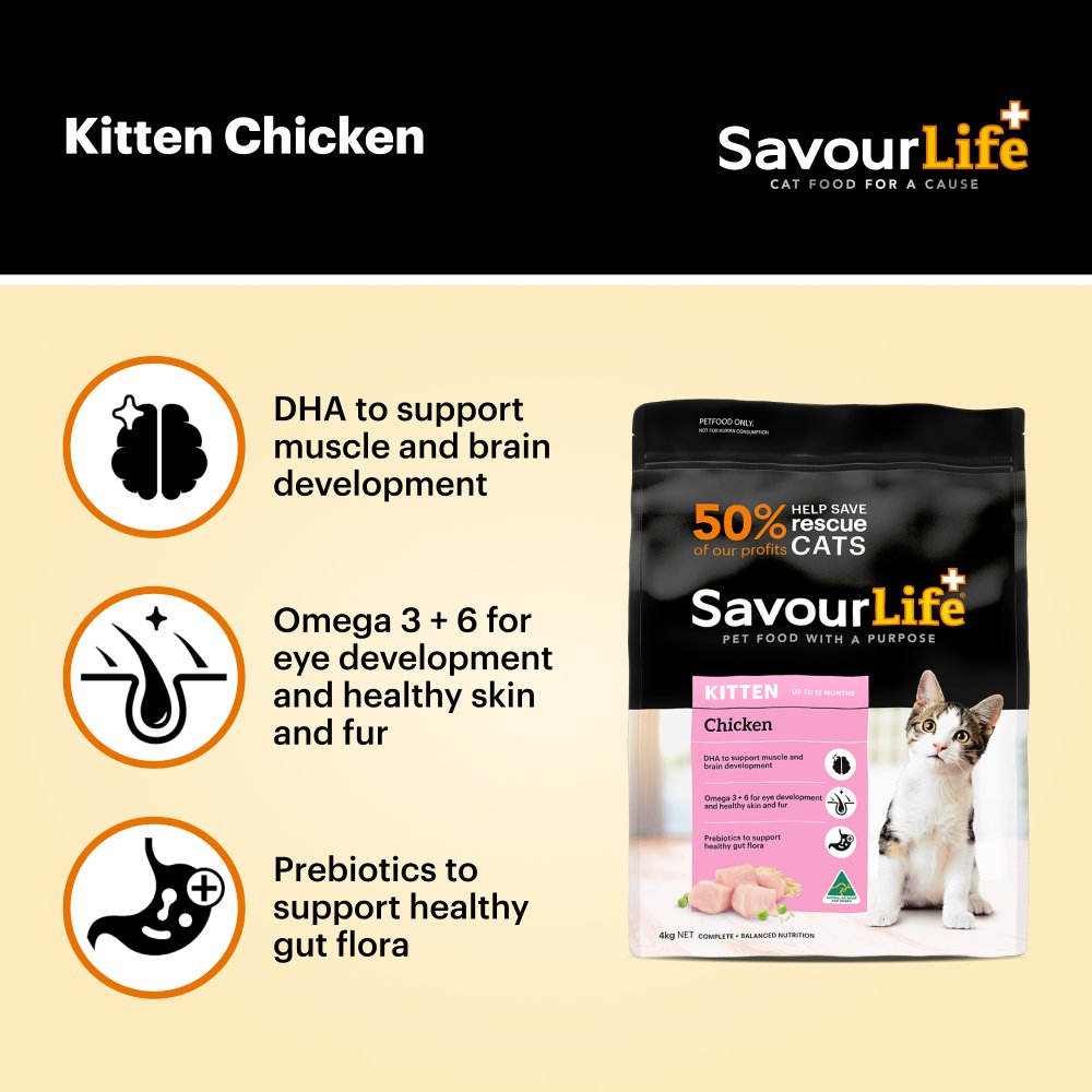 Chicken Kitten Dry Cat Food
