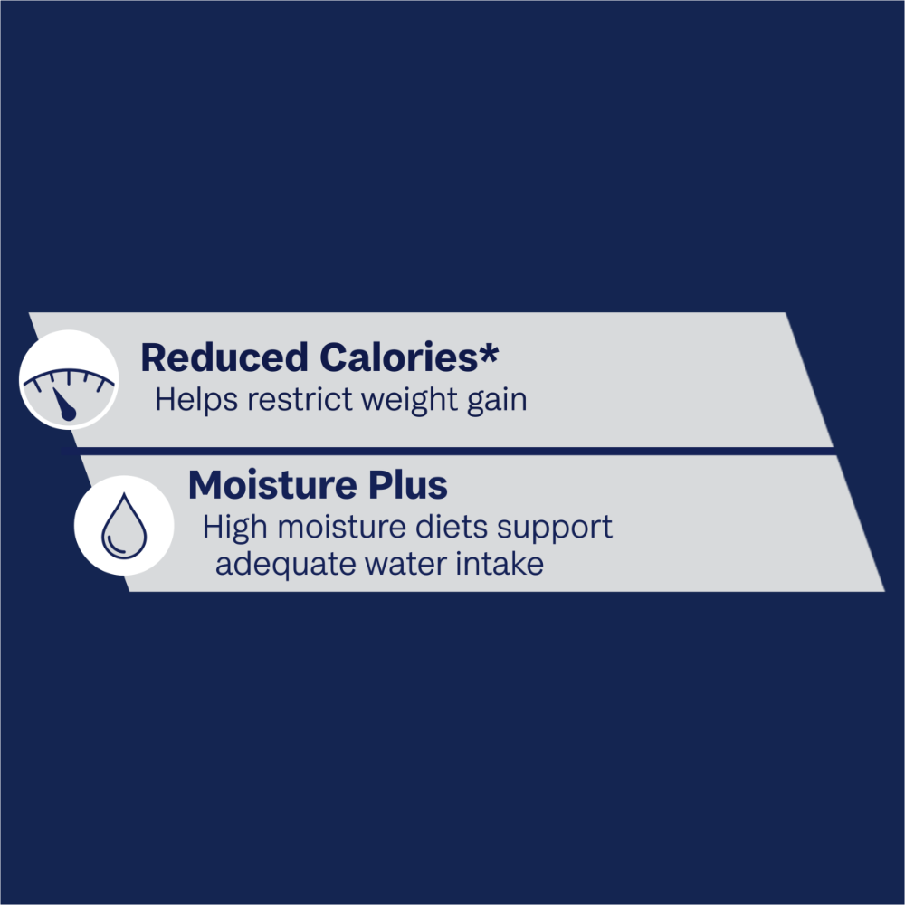 Indoor Adult Wet Cat Food Chicken And Turkey In Jelly