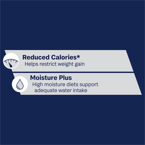 Indoor Adult Wet Cat Food Chicken And Turkey In Jelly