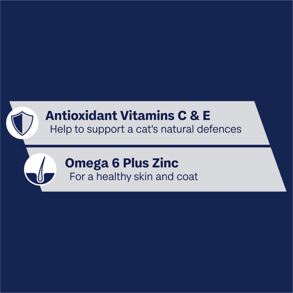 Adult Ocean Fish In Jelly Wet Cat Food Pouches