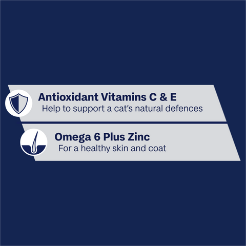 Adult Ocean Fish In Jelly Wet Cat Food Pouches