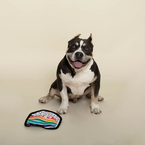Fringe Studio Plush Squeaker Dog Toy - Piece Of Cake