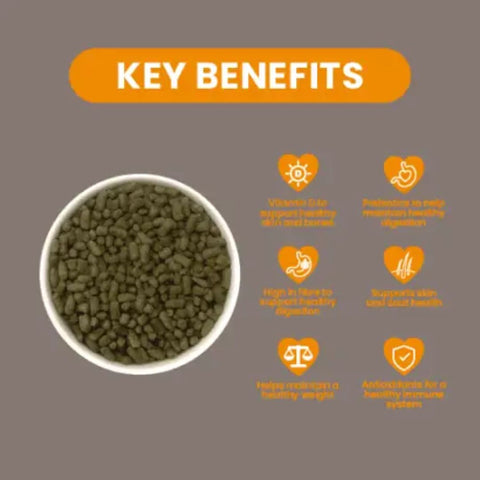 Burgess Excel Indoor Rabbit Nuggets