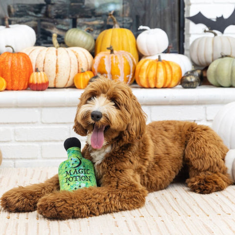 Fringe Studio Halloween Plush Squeaker Dog Toy - Going Through The Potions