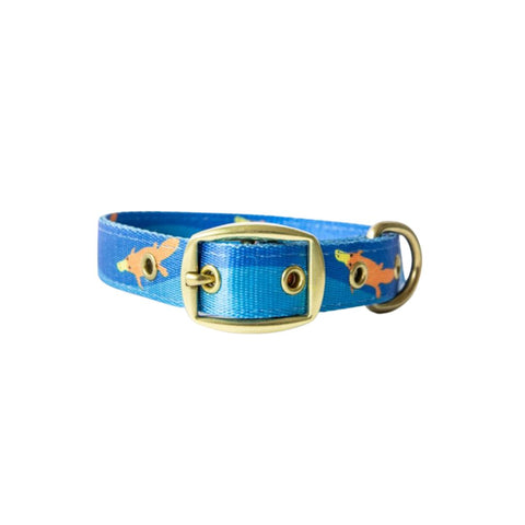 Anipal Piper The Platypus Recycled Dog Collar - Small | petsome Pet Supplies