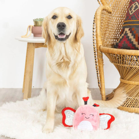 Fringe Studio No Stuffing Squeaker Valentine's Day Dog Toy - Fly My Way