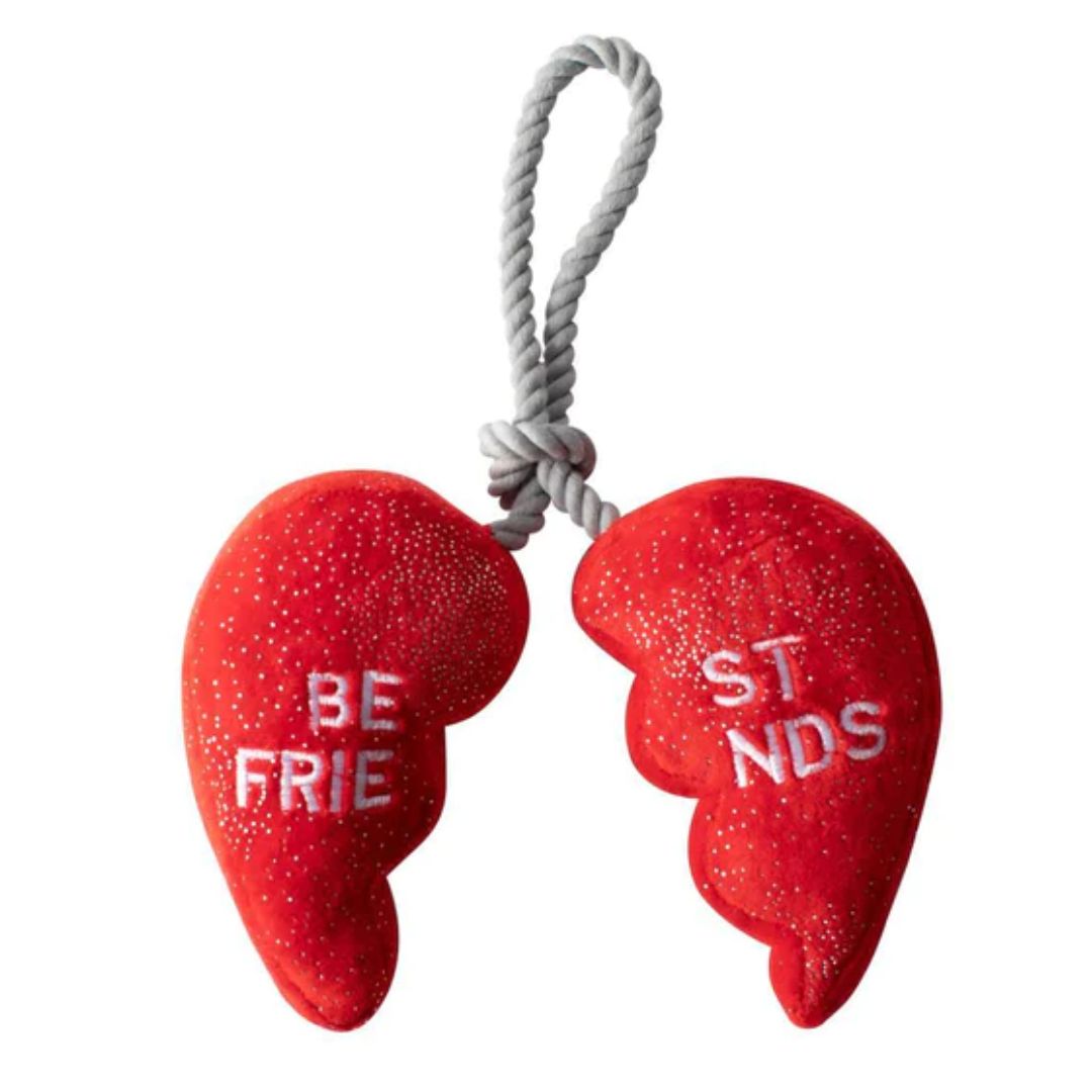 Fringe Studio Rope & Plush Squeaker Valentine's Day Dog Toy - Besties 4Ever