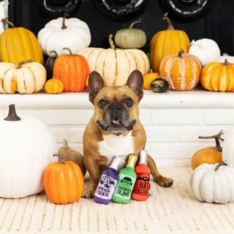 Fringe Studio Halloween Plush Squeaker Dog Toy - Pick Your Poison 3 Minis
