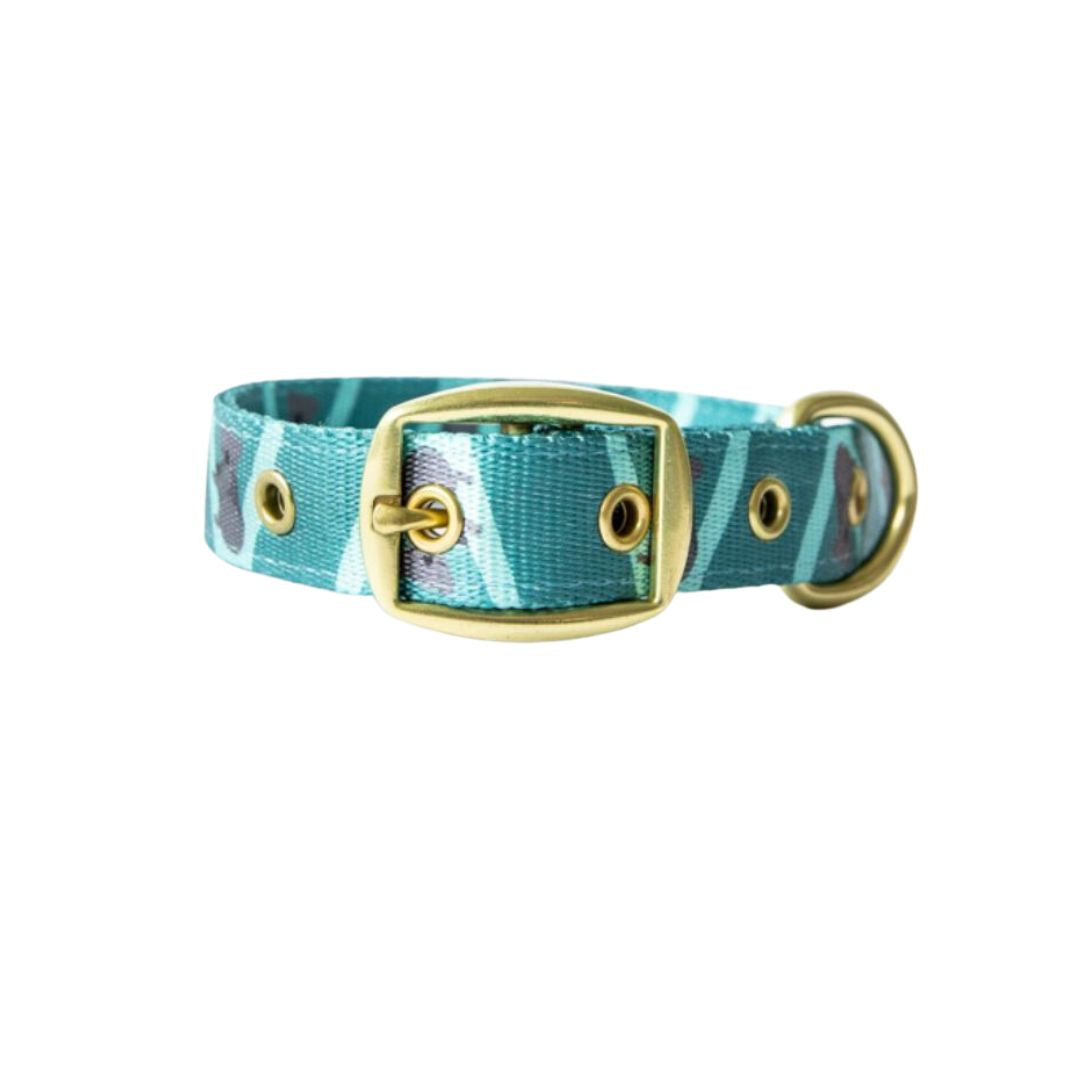 Anipal Kylo the Koala Dog Collar - Small | petsome Pet Supplies