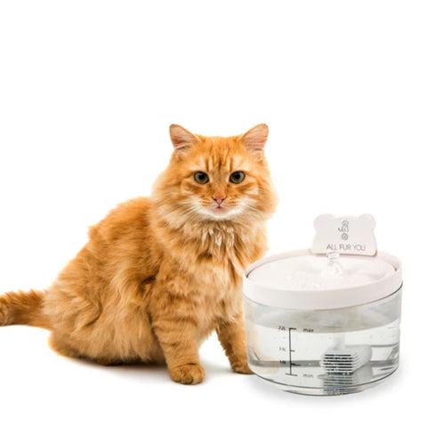 All Fur You Auto Sensor Water Fountain & Accessories