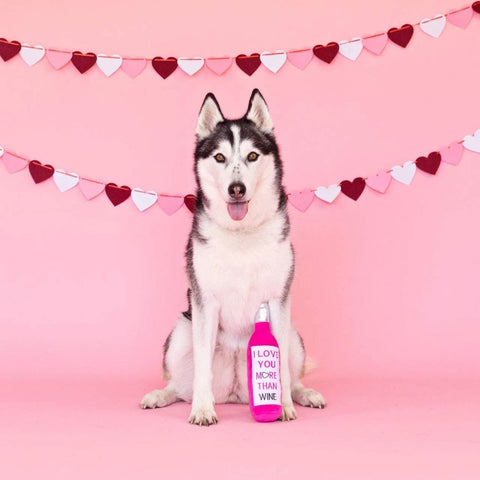 Fringe Studio Plush Bottle Squeaker Valentine's Dog Toy - Love You More Than Wine