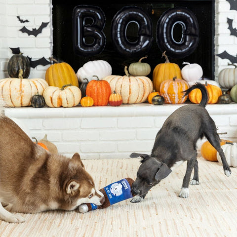 Fringe Studio Halloween Plush Squeaker Dog Toy - Here For The Boo-Zee