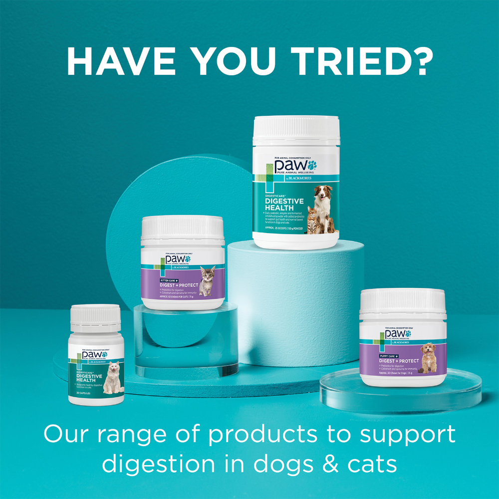 Digesticare Probiotics For Dogs And Cats