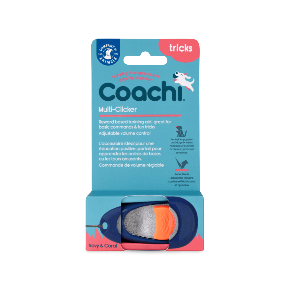Dog Multi Clicker Navy