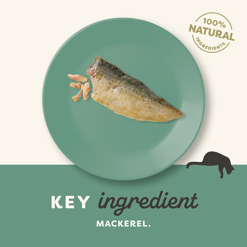 Applaws Wet Cat Whole Mackeral Fillet Treat 30g