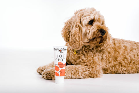 Pet Drs Dog Hot Spot Cream
