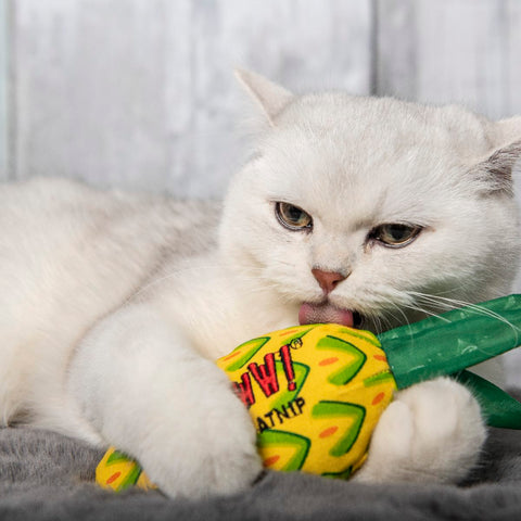 Yeowww! Catnip Cat Toys - Pineapple