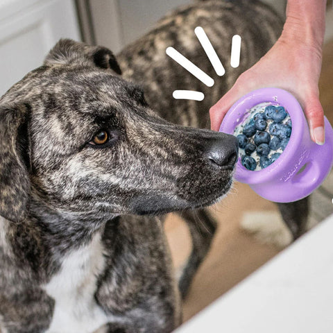 West Paw Toppl Treat Dispensing Dog Toys