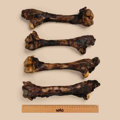 WAG Kangaroo Large Bone