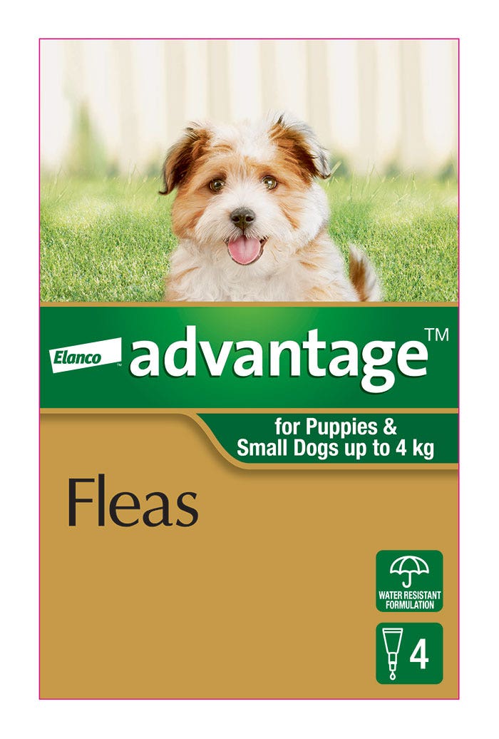 Advantage Green for Small Dog