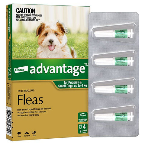 Advantage Green for Small Dog