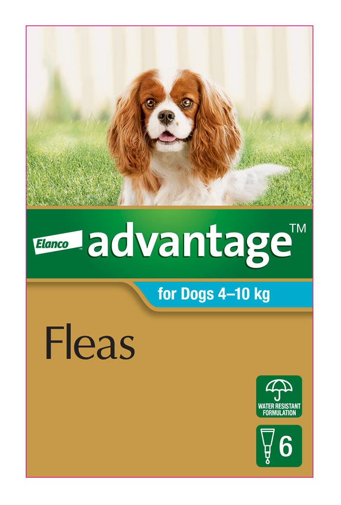 Advantage Aqua for Medium Dog