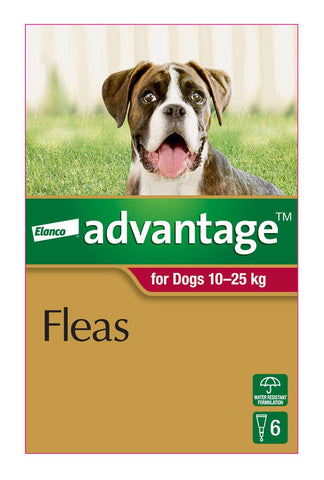 Advantage Red for Large Dog
