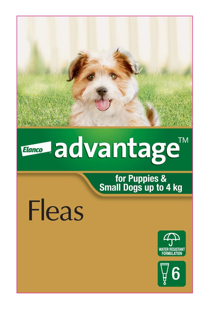 Advantage Green for Small Dog