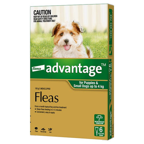 Advantage Green for Small Dog