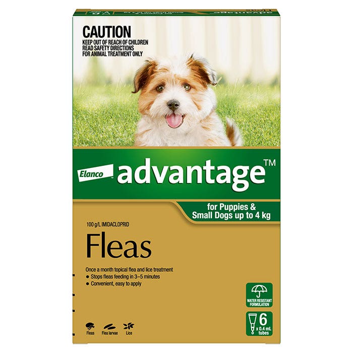 Advantage Green for Small Dog