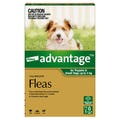 Advantage Green for Small Dog