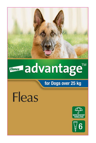 Advantage Blue for Extra Large Dog