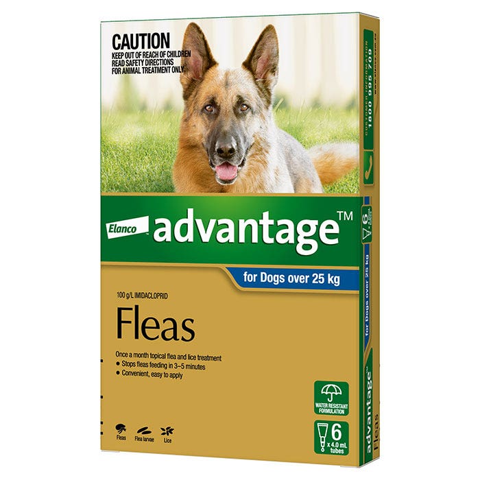 Advantage Blue for Extra Large Dog