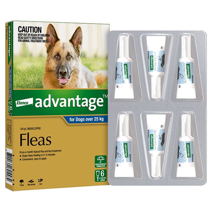 Advantage Blue for Extra Large Dog