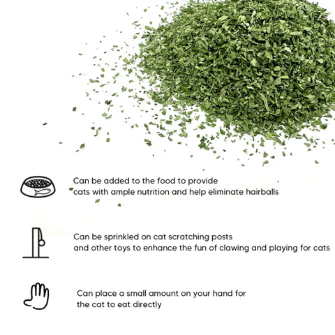 FreeCat All Natural Pure Catnip