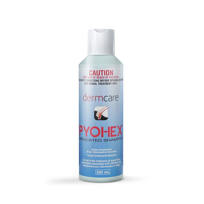 Dermcare Pyohex Medicated Foam