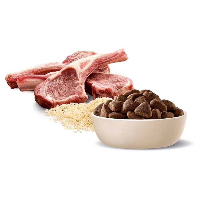 ADVANCE Adult Large Breed Dry Dog Food Lamb with Rice 15kg