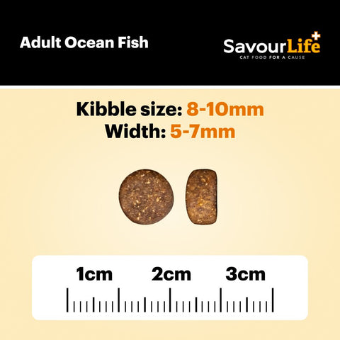 Ocean Fish Adult Dry Cat Food