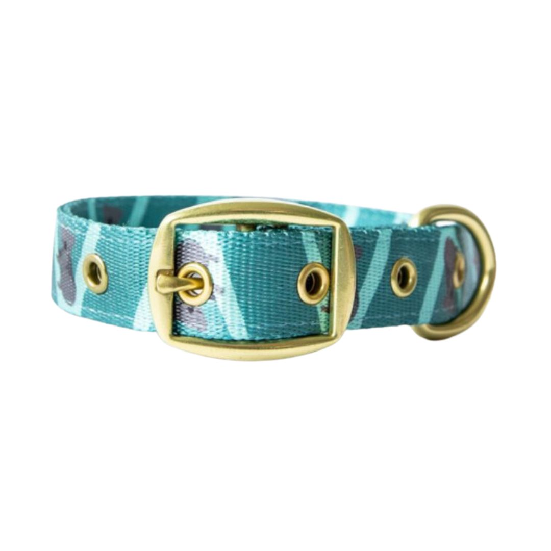 Anipal Kylo the Koala Dog Collar - Medium | petsome Pet Supplies