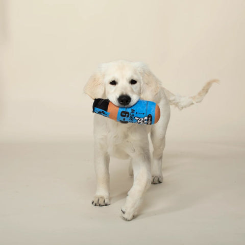 Fringe Studio Plush Squeaker Dog Toy - K-9 Cold Brew