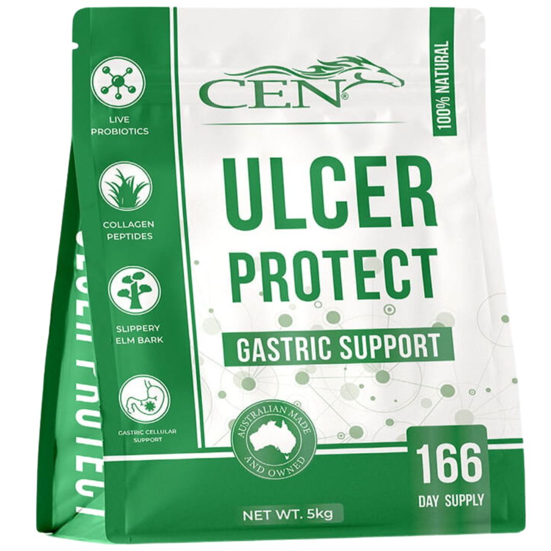 Cen Ulcer Protect Horse Supplement - 5kg |  petsome Pet Supplies