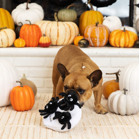 Fringe Studio Halloween Plush Squeaker Dog Toy - Skull Burrow + 3 Spiders