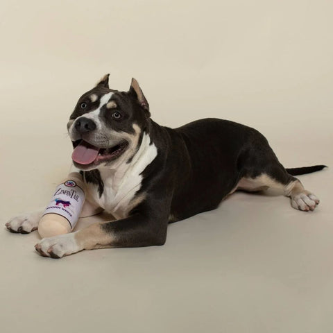 Fringe Studio Plush Squeaker Dog Toy - Zinfintail