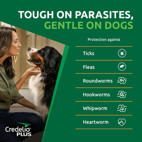Credelio Plus for Medium Dogs 5.5-11kg