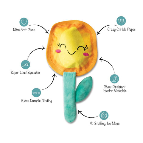 Fringe Studio Plush Squeaker Dog Toy - In Full Bloom