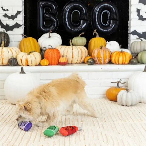 Fringe Studio Halloween Plush Squeaker Dog Toy - Pick Your Poison 3 Minis