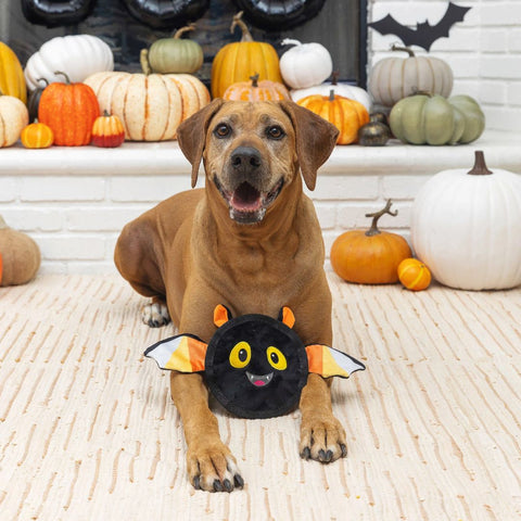 Fringe Studio Halloween Plush Squeaker Dog Toy - Bat's The Way It Is