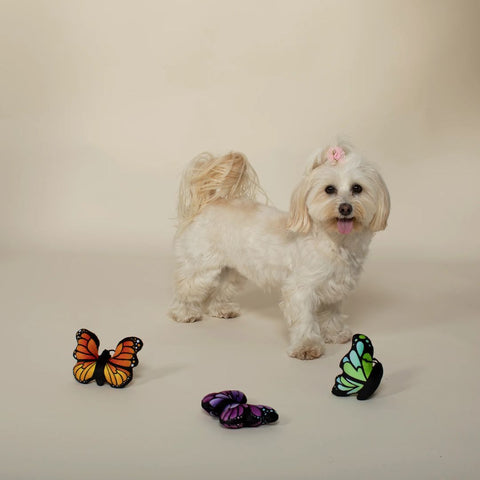 Fringe Studio Plush Dog Toy - Butterflies